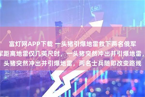 富灯网APP下载 一头猪引爆地雷救下两名俄军士兵画面曝光:两名俄军距离地雷仅几英尺时,一头猪突然冲出并引爆地雷,两名士兵随即改变路线