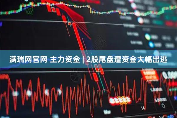 满瑞网官网 主力资金 | 2股尾盘遭资金大幅出逃