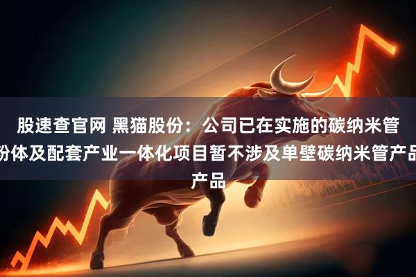 股速查官网 黑猫股份：公司已在实施的碳纳米管粉体及配套产业一体化项目暂不涉及单壁碳纳米管产品